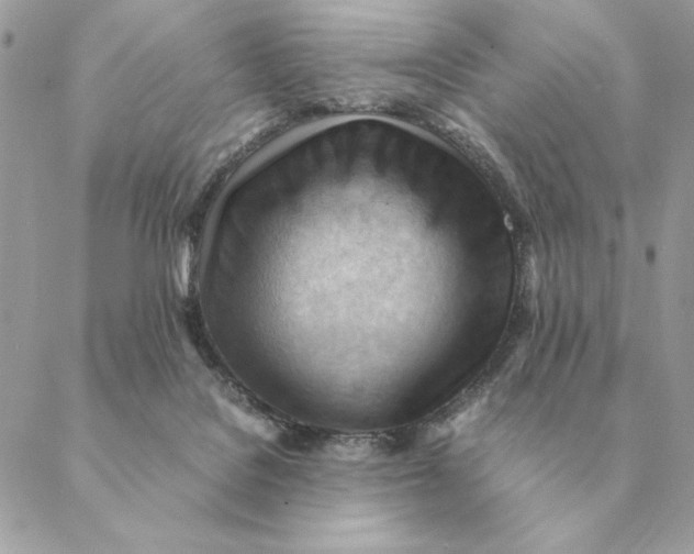 X0000088600076200706151812