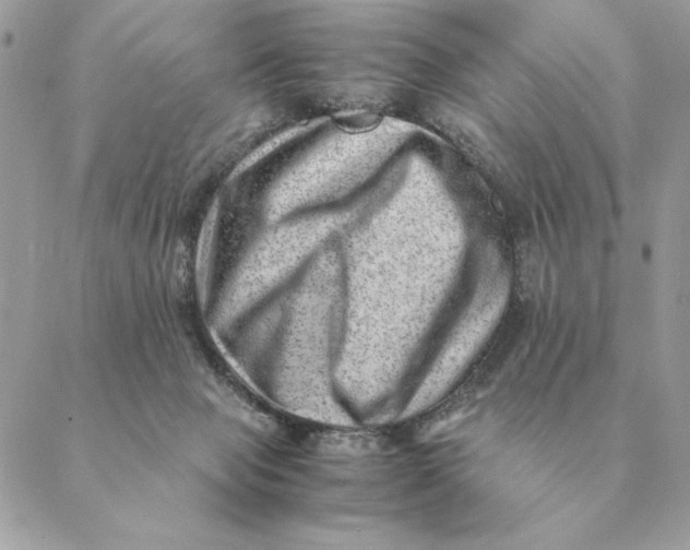 X0000088600077200706151812