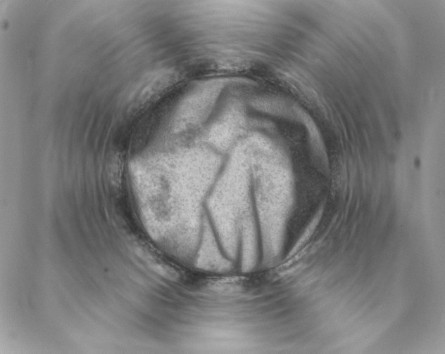 X0000088600078200706151812