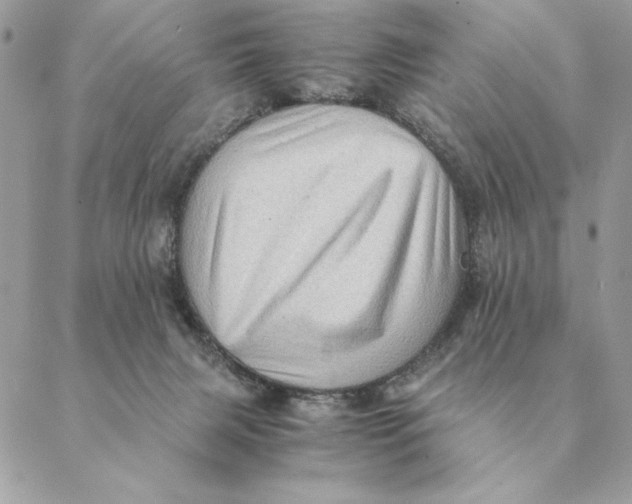 X0000088600079200706151812