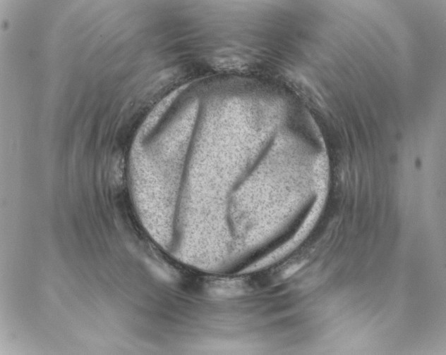 X0000088600081200706151812