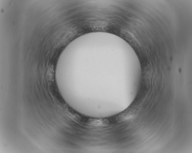 X0000088600083200706151812