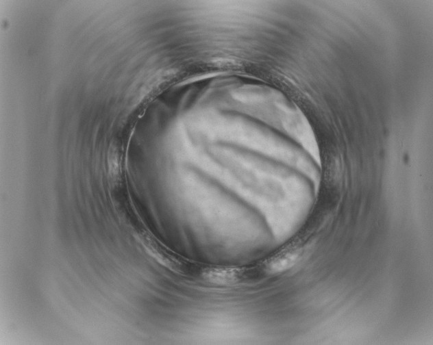 X0000088600084200706151812