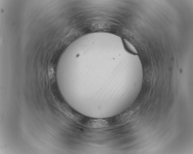 X0000088600087200706151812