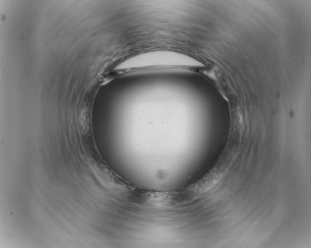 X0000088600088200706151812