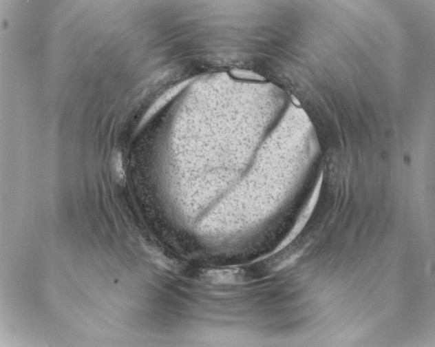 X0000088600089200706151812