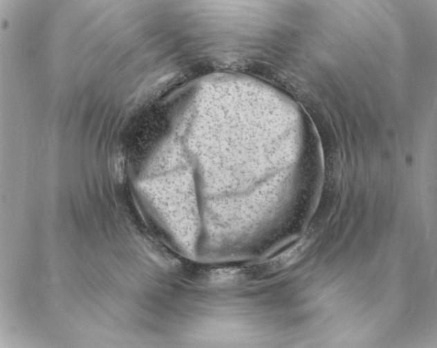 X0000088600090200706151812