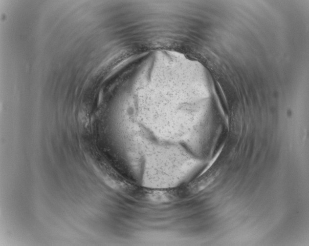 X0000088600091200706151812