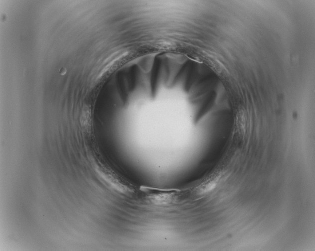 X0000088600092200706151812