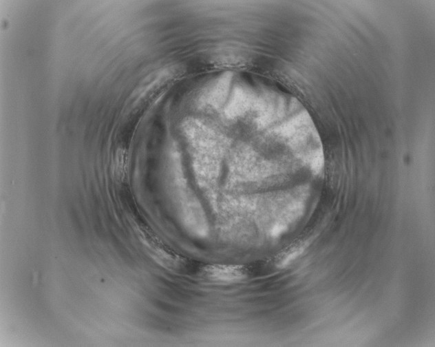 X0000088600093200706151812