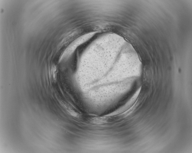 X0000088600094200706151812