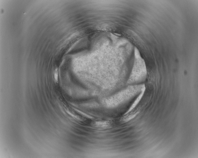 X0000088600095200706151812