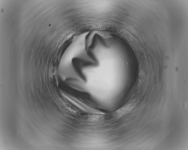 X0000088600096200706151812