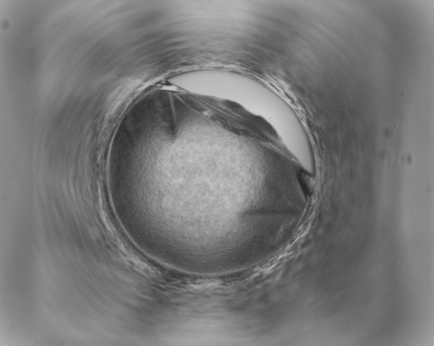 X0000088600097200706151811