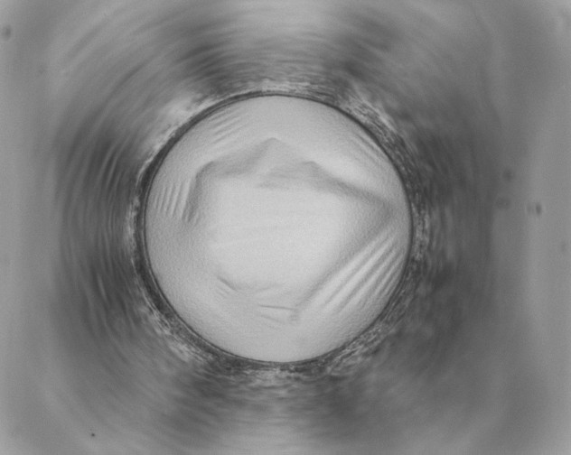 X0000088600098200706151811