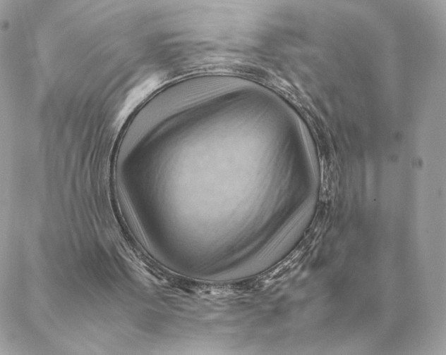 X0000088600099200706151811