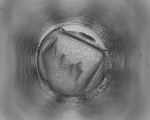 X0000088600100200706151811