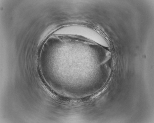 X0000088600101200706151811