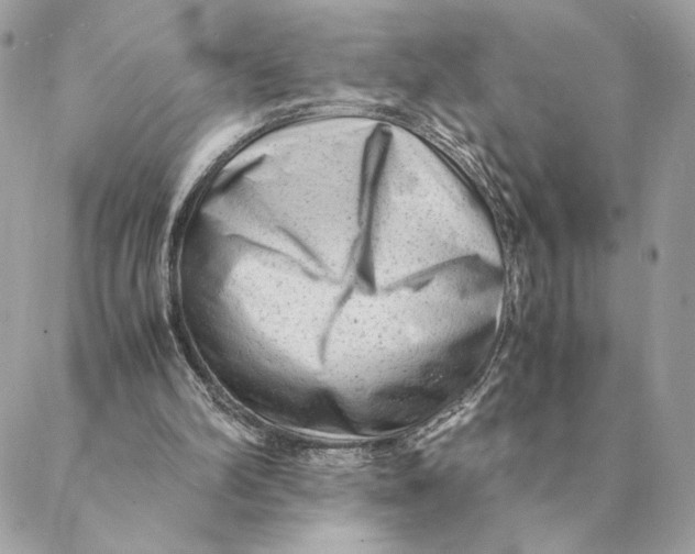 X0000088600102200706151811