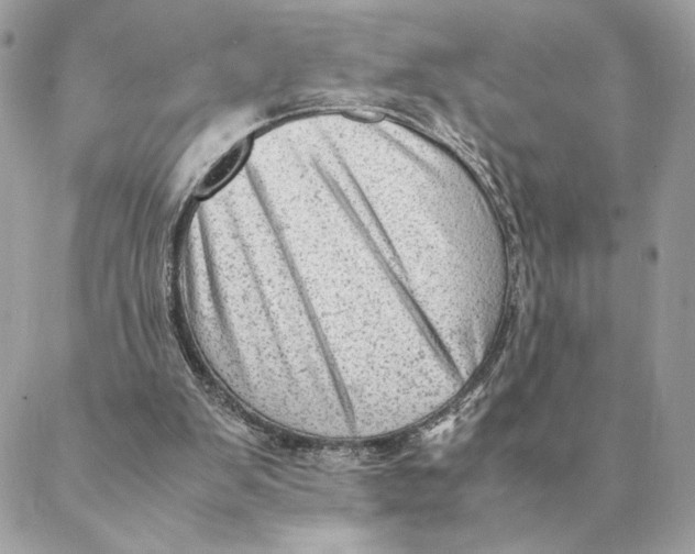 X0000088600103200706151811