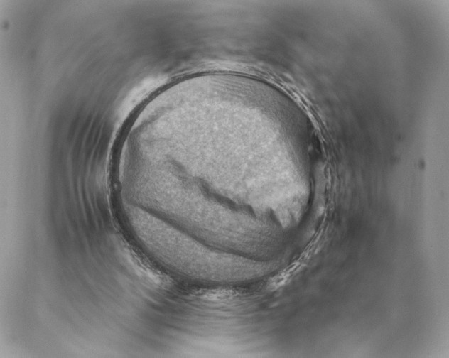 X0000088600104200706151811