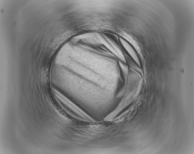 X0000088600105200706151811