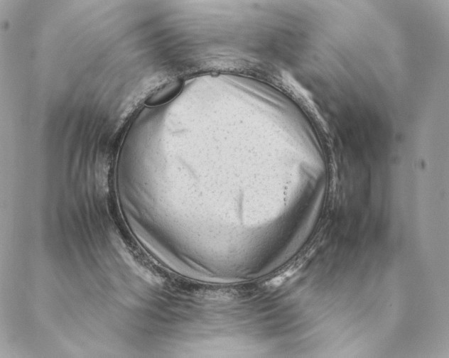 X0000088600106200706151811