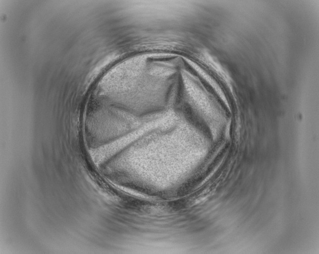 X0000088600107200706151811