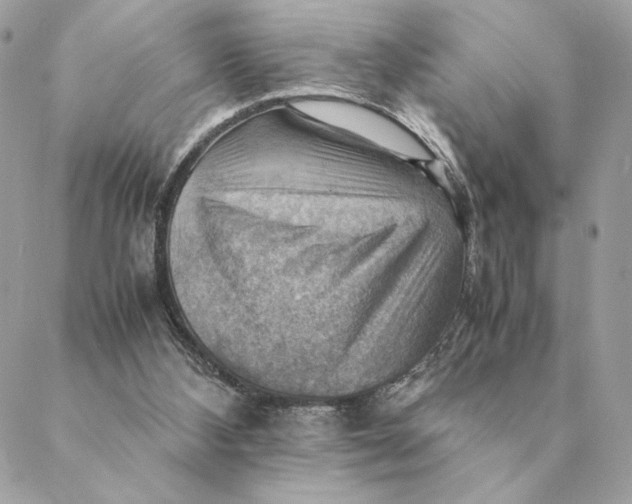 X0000088600108200706151811