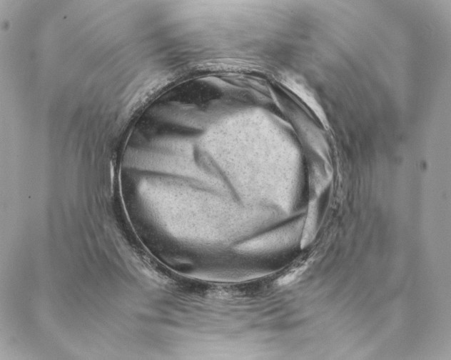 X0000088600109200706151811