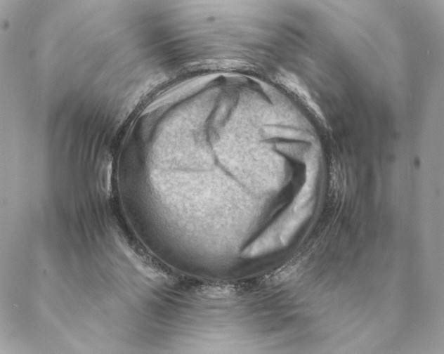 X0000088600110200706151811