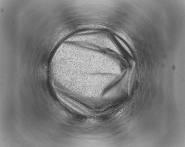 X0000088600111200706151811