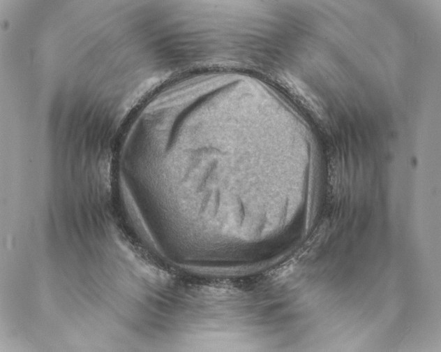 X0000088600112200706151811