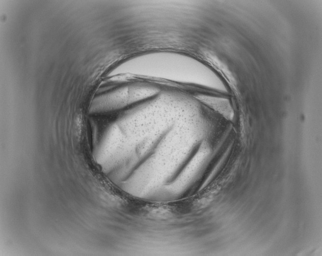 X0000088600113200706151811