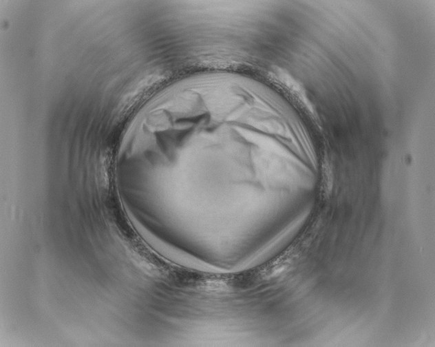 X0000088600114200706151811