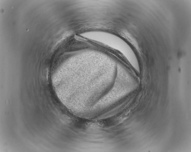 X0000088600115200706151811