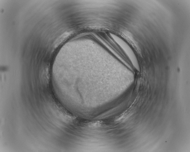 X0000088600116200706151811