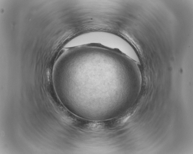 X0000088600117200706151811