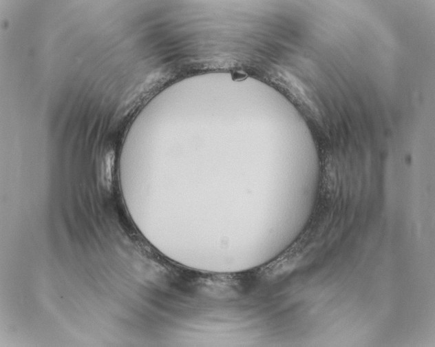 X0000088600118200706151811