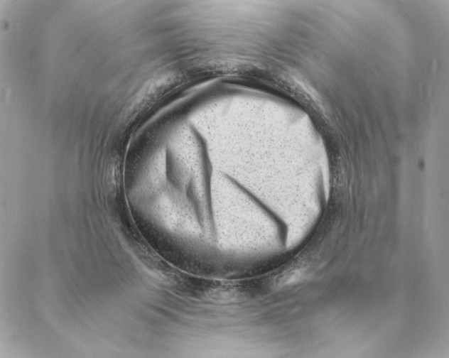 X0000088600119200706151811