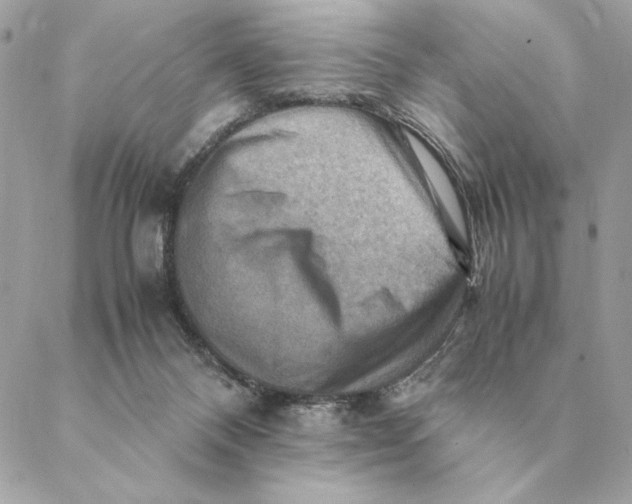 X0000088600120200706151811