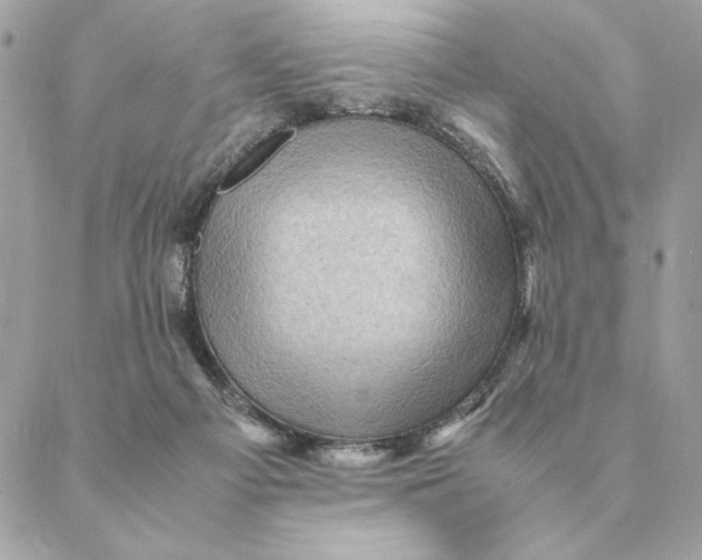 X0000088600121200706151811