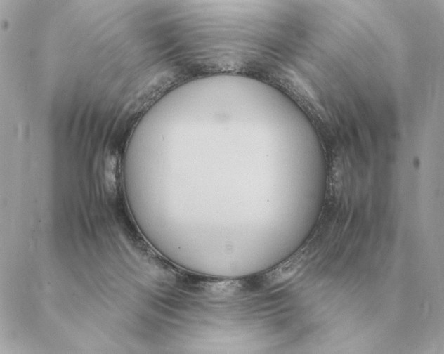 X0000088600122200706151811