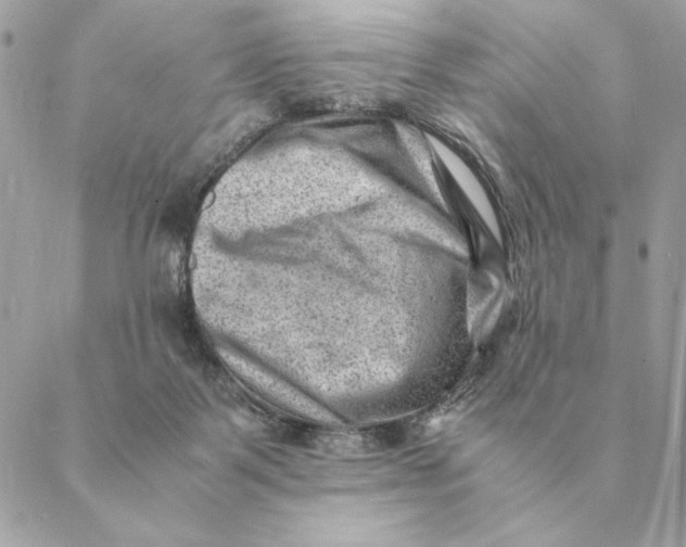 X0000088600123200706151811