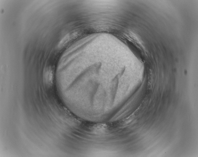 X0000088600124200706151811