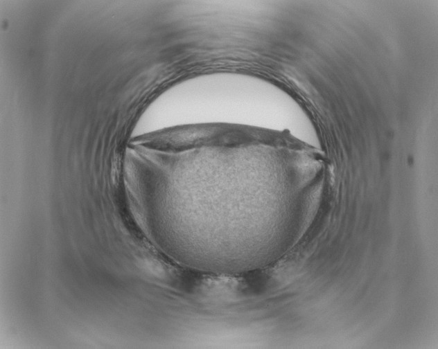 X0000088600125200706151811