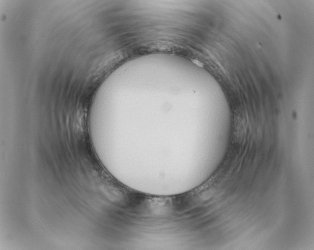 X0000088600126200706151811