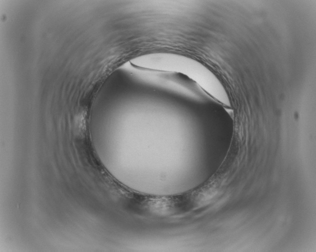 X0000088600127200706151811