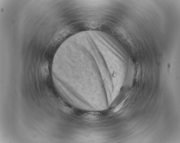 X0000088600128200706151811