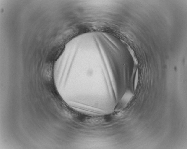 X0000088600129200706151811